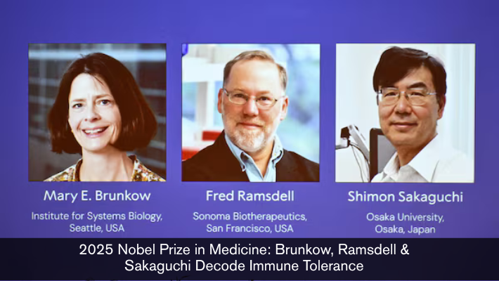 2025 Nobel Prize in Medicine Brunkow, Ramsdell & Sakaguchi Decode Immune Tolerance