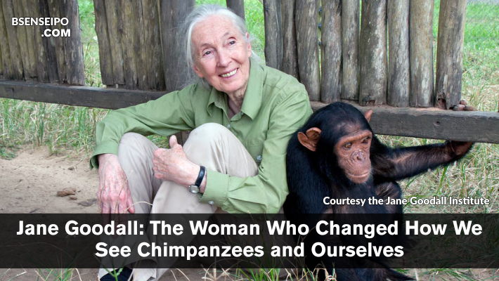 Jane Goodall The Woman Who Changed How We See Chimpanzees and Ourselves