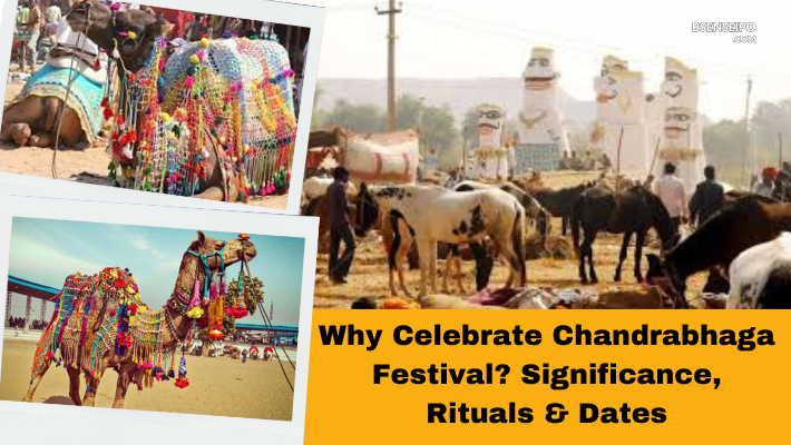Why Celebrate Chandrabhaga Festival Significance, Rituals & Dates